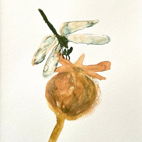 Dragonfly On Poppy Pod - Original Art Handmade Painting by Tristina Dietz Elmes - Picture 1 of 4